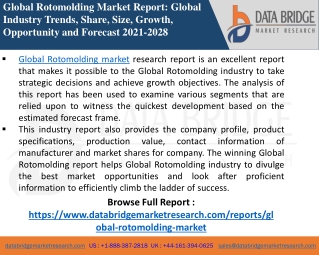 Rotomolding Market-Chemical Material