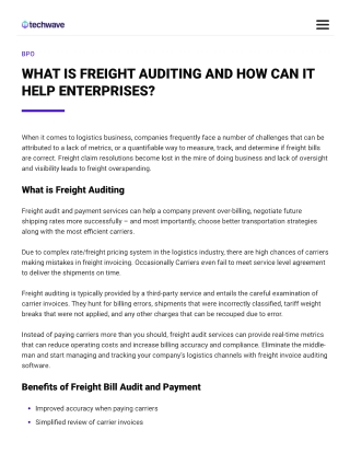 What is Freight Auditing