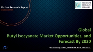 Butyl Isocyanate Market size See Incredible Growth during 2030