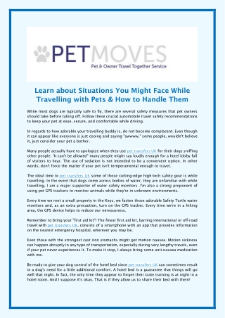 Learn about Situations You Might Face While Travelling with Pets & How to Handle Them