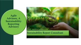 Agile Advisors, A Sustainability Reporting Advisory