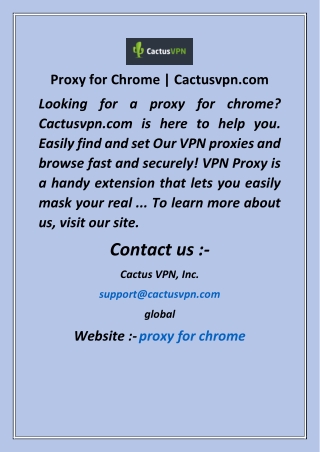 Proxy for Chrome  Cactusvpn com