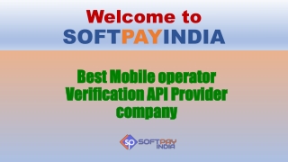 Get Mobile operator finder API at best Price