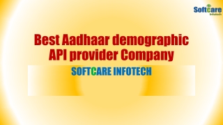 Finest Aadhaar demographic API Service Provider