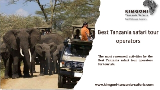 Best Tanzania Safari Tour Operators