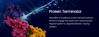 Androgen Receptor Ligands