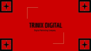 Best SEO Company in Calicut