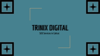 Best SEO Services in Calicut, Kozhikode, Kerala