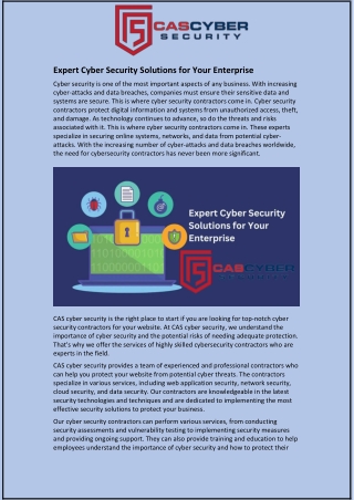 Expert Cyber Security Solutions for Your Enterprise