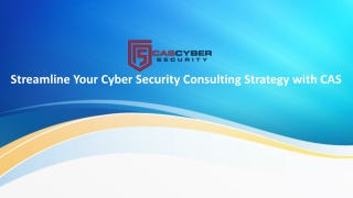 Streamline Your Cyber Security Consulting Strategy with CAS