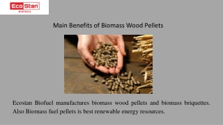 Biomass Wood Pellets Mills is Eco-Friendly