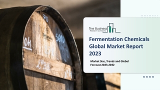 Fermentation Chemicals Market 2023: Size, Share, Segments, And Forecast 2032