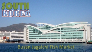 Korea Busan Jagalchi Fish Market