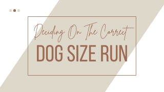 Deciding On The Correct Dog Size Run - Slaneyside Kennels