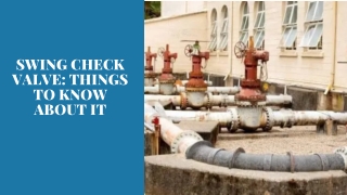Swing Check Valve: Things to Know About It