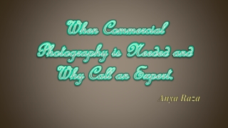 Anya Raza - When Commercial Photography is Needed and Why Call an Expert.