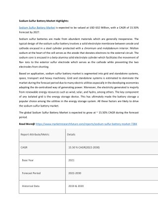 Sodium Sulfur Battery Market Highlights