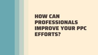 How Can Professionals Improve Your PPC Efforts