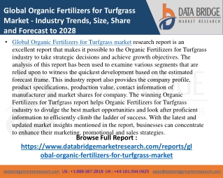 Organic Fertilizers for Turfgrass Market- Agricultural & Animal feed