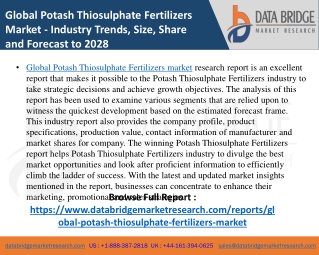 Potash Thiosulphate Fertilizers Market- Agricultural & Animal feed