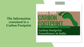 The Information contained in a Carbon Footprint