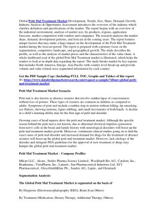 Petit Mal Treatment Market