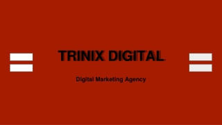 Best Digital Marketing Agency in Calicut