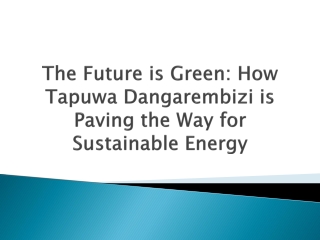 The Future is Green How Tapuwa Dangarembizi is Paving the Way for Sustainable Energy