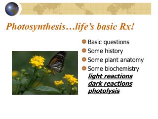 Photosynthesis…life’s basic Rx!