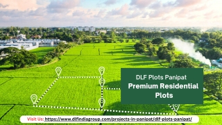 DLF Plots Panipat – Upcoming Residential projects