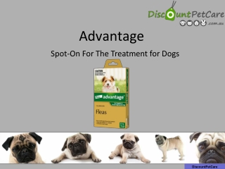 Advantage for Dogs : Cheap Advantage Flea Treatment For Dogs Online