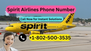 Spirit Airlines Phone Number