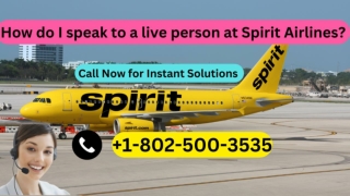 How Do I Speak to a Live Person at Spirit Airlines