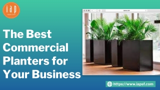 The Best Commercial Planters for Your Business