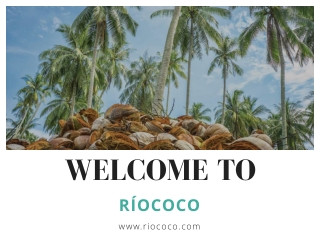 RIOCOCO Grow Bags the Best Medium for Growing Strawberries in Coco Coir