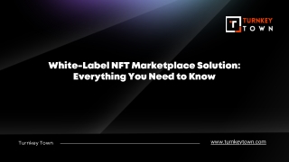 White-Label NFT Marketplace Solution Everything You Need to Know