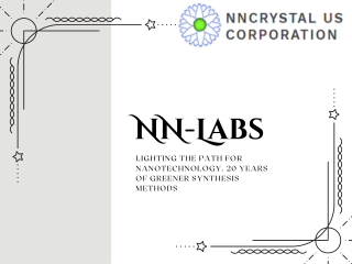 NN Labs