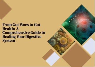 A Comprehensive Guide to Healing Your Digestive System