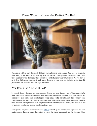 Three Ways to Create the Perfect Cat Bed