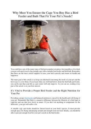 Why Must You Ensure the Cage You Buy Has a Bird Feeder and Bath That Fit Your Pet’s Needs