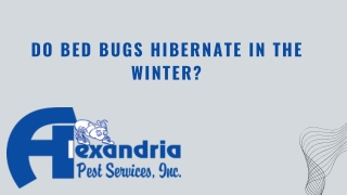 Do Bed Bugs Hibernate in the Winter