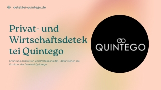 detektei-quintego.de