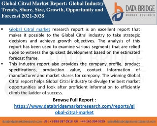 Citral Market-Chemical Material