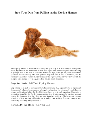 Stop Your Dog from Pulling on the Ezydog Harness