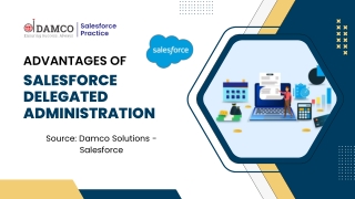 Advantages of Salesforce Delegated Administration