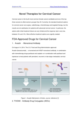 Novel Therapies for Cervical Cancer