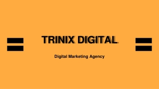 Best Digital Marketing Agency in Calicut