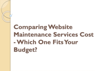 Comparing Website Maintenance Services Cost - Which One Fits Your Budget?