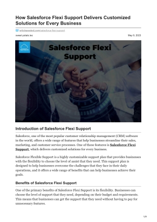 How Salesforce Flexi Support Delivers Customized Solutions for Every Business