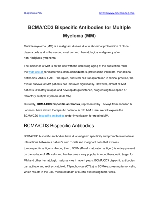 BCMACD3 Bispecific Antibodies for Multiple Myeloma (MM)